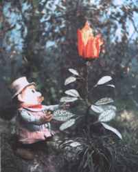 a rare colour photograph of Mr Pogle with the magical Plant